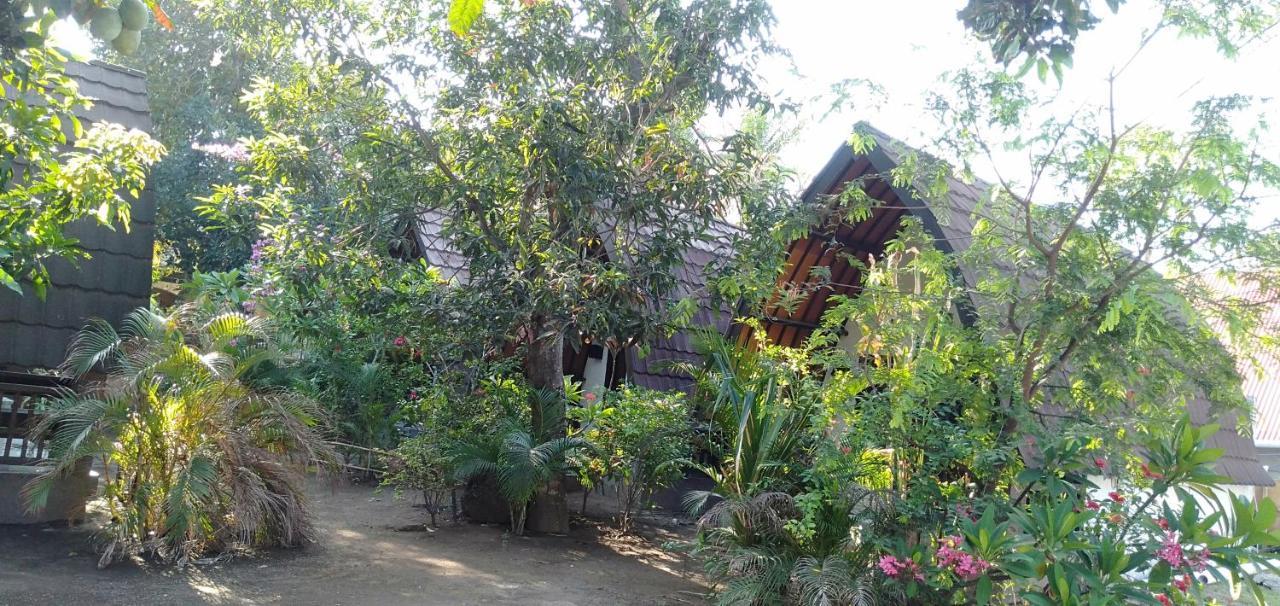 Hello Lumbung Homestay Гили-Эйр Экстерьер фото